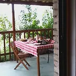 Fattoria Riomoro *