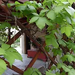 Apartment Fattoria Riomoro