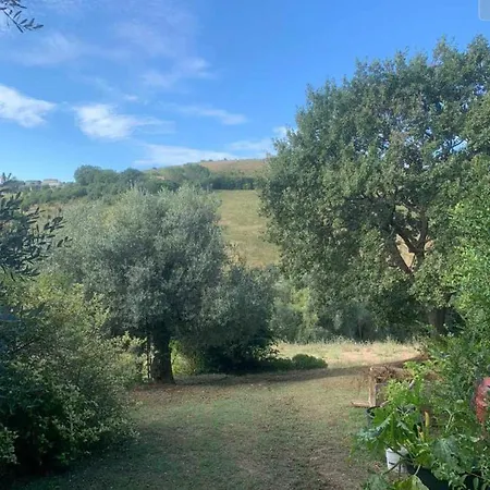 Fattoria Riomoro *