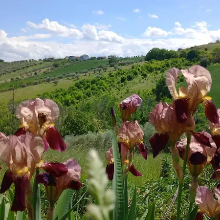 شقة Fattoria Riomoro كولونيلا