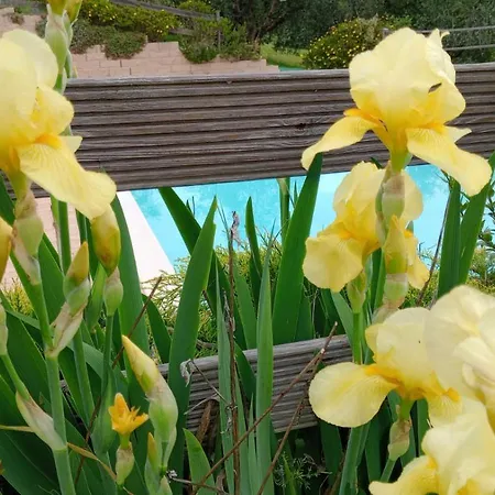 Apartament Fattoria Riomoro *