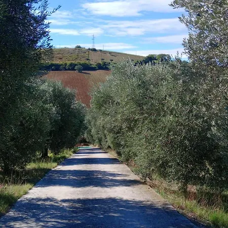 Fattoria Riomoro Apartament *