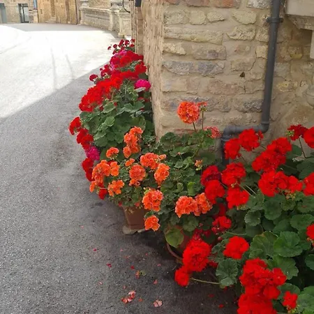 Fattoria Riomoro *