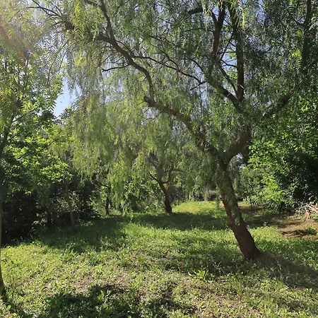 Fattoria Riomoro