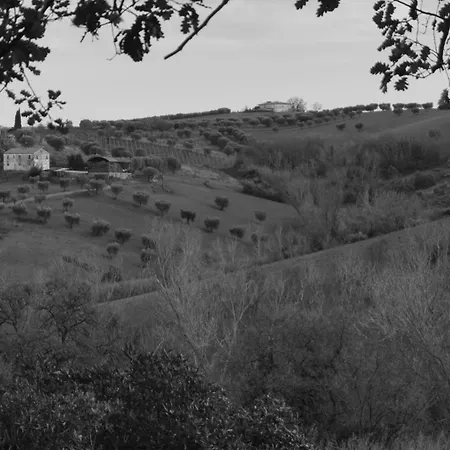 Apartment Fattoria Riomoro Colonnella