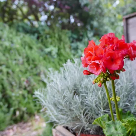 Appartamento Fattoria Riomoro *