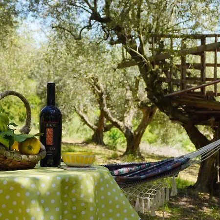 Appartamento Fattoria Riomoro Colonnella