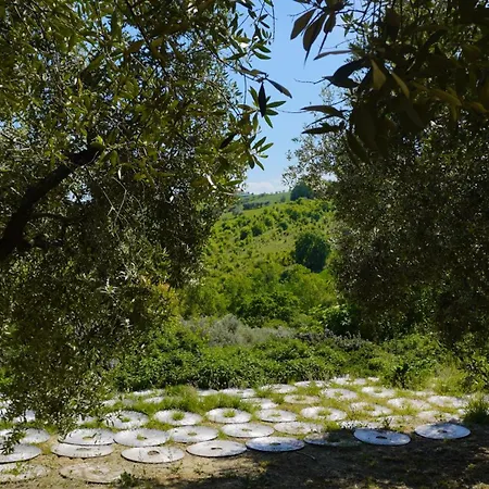 Fattoria Riomoro * Colonnella