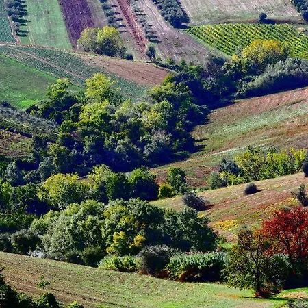 Fattoria Riomoro Colonnella