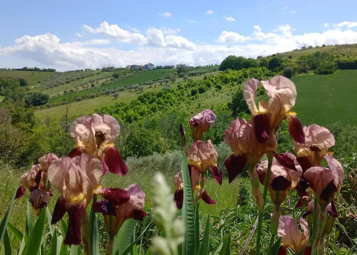 Lägenhet Fattoria Riomoro Colonnella