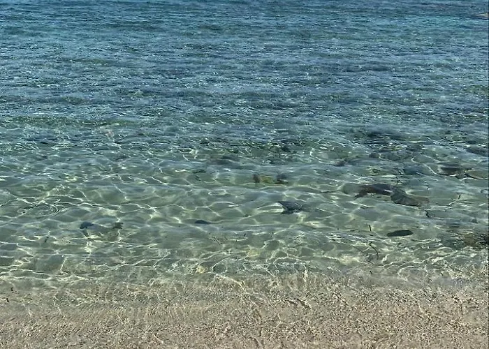 Fattoria Riomoro * Colonnella