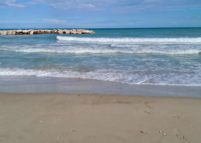 Fattoria Riomoro Lägenhet