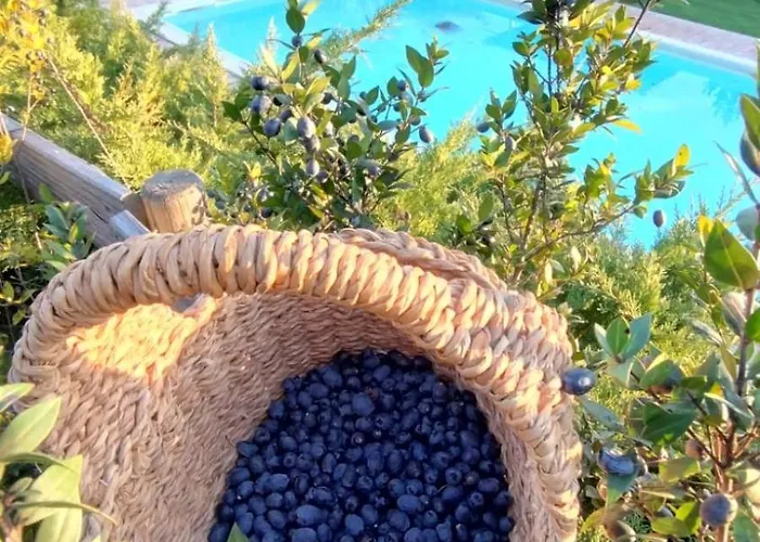 Fattoria Riomoro Lägenhet *