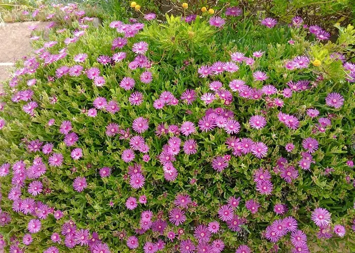 Lägenhet Fattoria Riomoro Colonnella