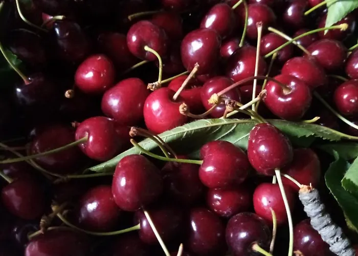 Lägenhet Fattoria Riomoro *